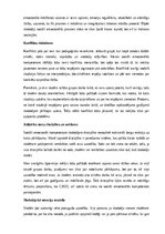 Eseja 'Mana kā skolotāja sociāli emocionālā kompetence', 6.