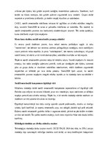 Eseja 'Mana kā skolotāja sociāli emocionālā kompetence', 10.