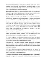 Eseja 'Mana kā skolotāja sociāli emocionālā kompetence', 16.