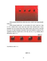 Referāts 'A/s "Laima"', 22.