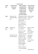 Prakses atskaite 'Aktīvā audzināšanas prakse sākumskolā', 24.