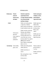 Prakses atskaite 'Aktīvā audzināšanas prakse sākumskolā', 34.