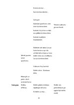 Prakses atskaite 'Aktīvā audzināšanas prakse sākumskolā', 35.