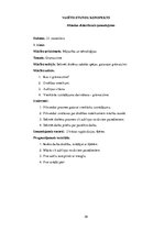 Prakses atskaite 'Aktīvā audzināšanas prakse sākumskolā', 38.