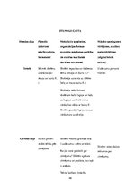 Prakses atskaite 'Aktīvā audzināšanas prakse sākumskolā', 48.