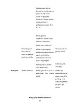 Prakses atskaite 'Aktīvā audzināšanas prakse sākumskolā', 54.