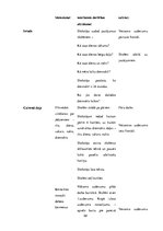 Prakses atskaite 'Aktīvā audzināšanas prakse sākumskolā', 58.