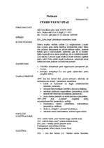 Referāts 'CV sastādīšanas noteikumi un paņēmieni', 12.