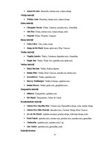 Prakses atskaite 'Galvenā bāra "Apollo" prakses atskaite', 14.