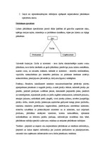 Konspekts 'Pārdošanas vadība', 6.