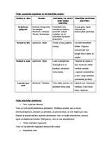 Konspekts 'Stirols - vielas drošības lapa', 2.