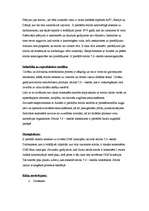 Konspekts 'Stirols - vielas drošības lapa', 4.