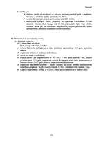 Biznesa plāns 'SIA "Ritmiņš"', 13.