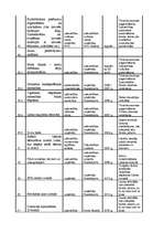 Referāts 'Pāvilostas tūrisma attīstības plāns', 19.