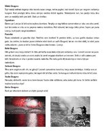 Konspekts 'Rainis ''Daugava''', 2.