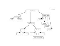 Referāts 'Valsts būtība un varas dalīšana', 23.