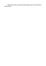 Eseja 'Сочинение по истории - идеальный политик 20 века (Уинстон Черчилль)', 2.