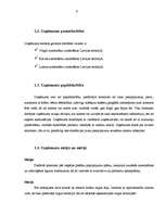 Prakses atskaite 'Uzņēmuma "Autonoma" tirgus analīze un pirkšanas apjoma prognozēšana', 6.