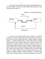 Prakses atskaite 'Uzņēmuma "Autonoma" tirgus analīze un pirkšanas apjoma prognozēšana', 13.