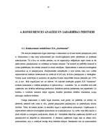 Prakses atskaite 'Uzņēmuma "Autonoma" tirgus analīze un pirkšanas apjoma prognozēšana', 19.