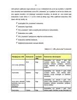 Prakses atskaite 'Uzņēmuma "Autonoma" tirgus analīze un pirkšanas apjoma prognozēšana', 20.