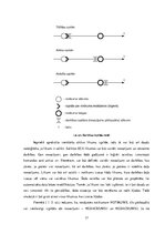 Diplomdarbs 'Aktīvo likumu izmantošana informācijas sistēmās', 17.