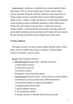 Referāts 'Virsnieres un to hormonu nozīme. Stress', 3.