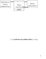 Referāts 'Cenu veidošanas politika', 19.