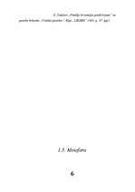 Referāts 'Literatūras teorija', 6.