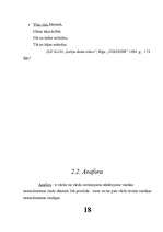 Referāts 'Literatūras teorija', 18.