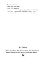 Referāts 'Literatūras teorija', 24.