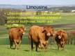 Prezentācija 'Characterization of Beef Cattle Breeds', 10.