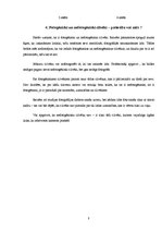 Referāts 'Cilvēks un fotogrāfija', 8.