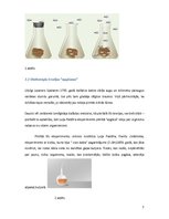 Referāts 'Dzīvības izcelšanās teorijas: spontānā rašanās teorija', 7.