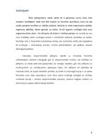 Referāts 'Dzīvības izcelšanās teorijas: spontānā rašanās teorija', 8.