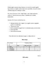 Biznesa plāns 'Biznesa plāns par skolēnu mācību firmu', 6.