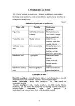 Biznesa plāns 'Biznesa plāns par skolēnu mācību firmu', 10.