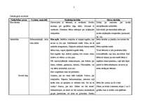 Prakses atskaite 'Integrētā mācību prakse pirmsskolā', 7.