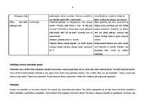 Prakses atskaite 'Integrētā mācību prakse pirmsskolā', 9.