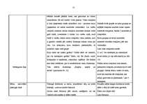 Prakses atskaite 'Integrētā mācību prakse pirmsskolā', 12.