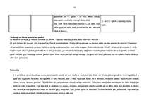 Prakses atskaite 'Integrētā mācību prakse pirmsskolā', 16.