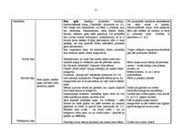 Prakses atskaite 'Integrētā mācību prakse pirmsskolā', 31.