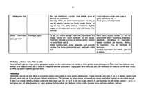 Prakses atskaite 'Integrētā mācību prakse pirmsskolā', 35.