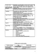 Konspekts 'Pedagoģijas vēsture', 11.