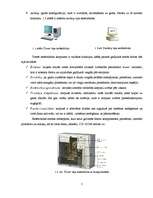 Referāts 'Informācijas tehnoloģijas "Studenta mājas ofiss"', 5.