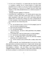 Referāts 'Informācijas tehnoloģijas "Studenta mājas ofiss"', 7.