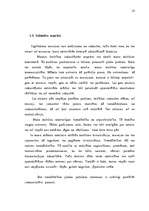 Diplomdarbs 'Teatralizācija muzejos', 13.