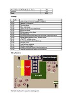 Paraugs 'Modes industrija: SIA "Fancy" modes skate "Sleeping Beauty"', 3.