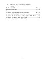 Diplomdarbs 'SIA "Sakura L" saimnieciskās darbības novērtējums konkurētspējas uzlabošanai', 3.