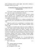 Diplomdarbs 'SIA "Sakura L" saimnieciskās darbības novērtējums konkurētspējas uzlabošanai', 19.